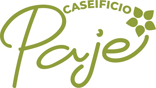 Logo PAJE